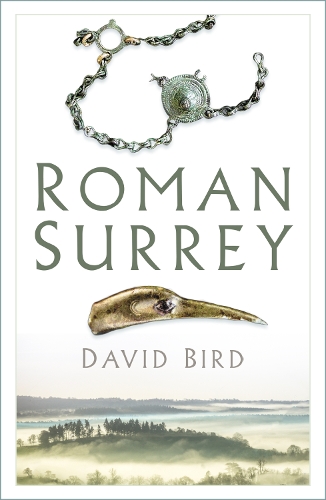 Бумажная книга «Roman Surrey», автор Дэвид Берд - фото №1