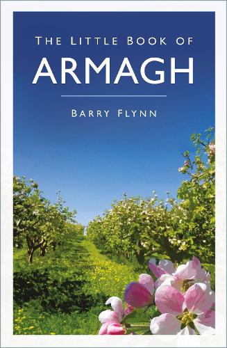 Паперова книга «The Little Book of Armagh», автор Баррі Флінн - фото №1