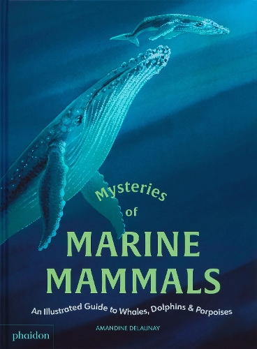 Паперова книга «Mysteries of Marine Mammals: An Illustrated Guide to Whales, Dolphins, and Porpoises», автор Амандін Делоне - фото №1