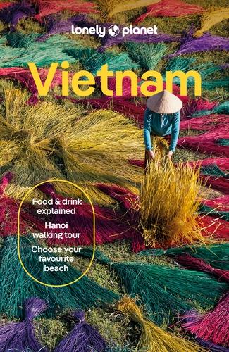 Бумажная книга «Lonely Planet Vietnam», авторов Бен Энгельбах, Бьен Нгуен, Диана, Джошуа Зукас, Карла Форонда, Саймон Ооствеен, Чуонг Тхань Нгок Во Ти - фото №1