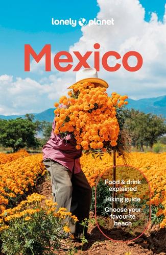 Бумажная книга «Lonely Planet Mexico», авторов Анна Камински, Брендан Сэйнсбери, Иэн Стюарт, Дженнифер Фернандес Солано, Джоэль Балзам, Джон Хехт, Лайза Прадо, Нелли Хуанг, Пол Стаффорд, Филипп Танг, Реджис Сент-Луис - фото №1