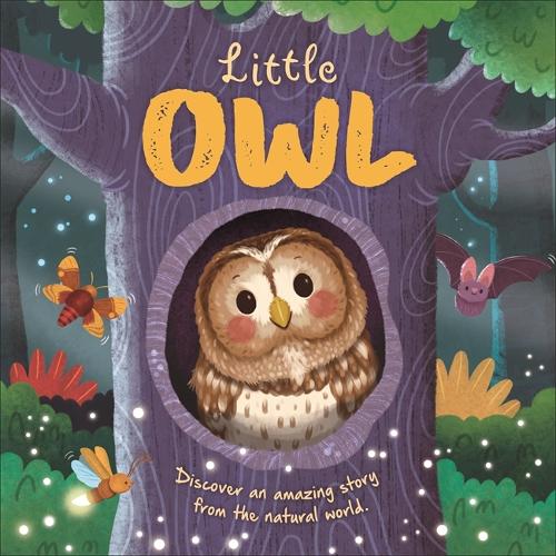 Паперова книга «Little Owl», автор Autumn Publishing - фото №1