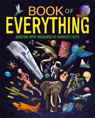 Бумажная книга «Book of Everything», автор Autumn Publishing - фото №1