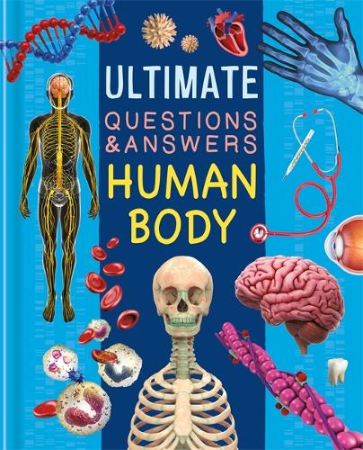 [object Object] «Ultimate Questions & Answers: Human Body», автор Autumn Publishing - фото №1