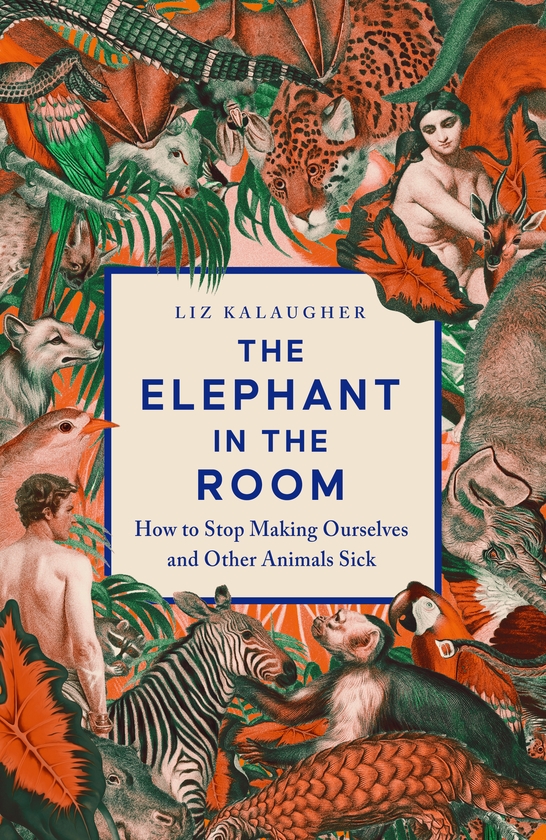 Paper book «The Elephant in the Room: How to Stop Making Ourselves and Other Animals Sick», author Liz Kalaugher - фото №1