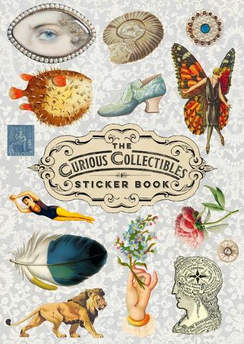 Бумажная книга «The Curious Collections Sticker Book» - фото №1