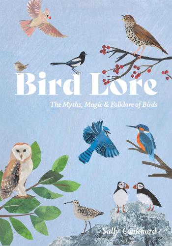 [object Object] «Bird Lore: The Myths, Folklore and Meaning of Birds», автор Саллі Култхард - фото №1