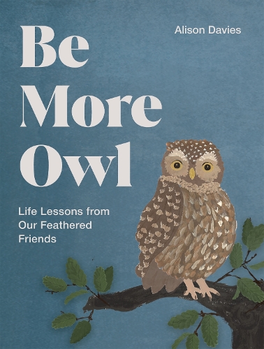 Бумажная книга «Be More Owl: Life Lessons from Our Feathered Friends», автор Элисон Дейвис - фото №1