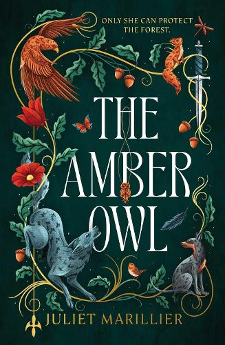 Паперова книга «The Amber Owl», автор Джульєтта Марільє - фото №1