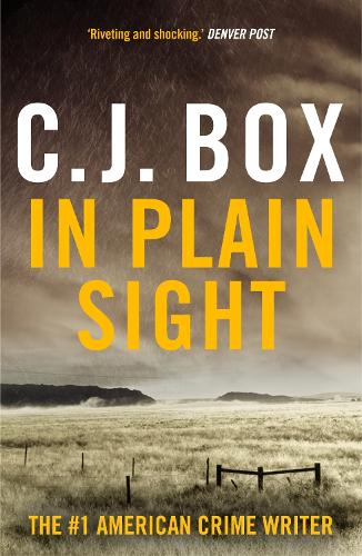 Бумажная книга «In Plain Sight» - фото №1
