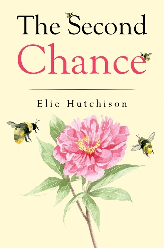 Бумажная книга «The Second Chance», автор Эли Хатчисон - фото №1
