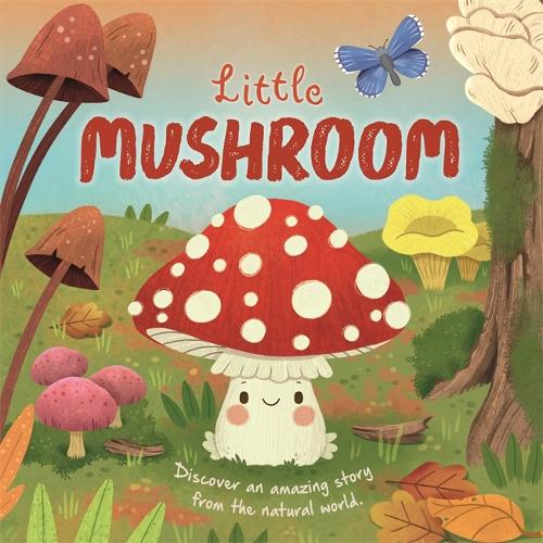Паперова книга «Little Mushroom», автор Autumn Publishing - фото №1
