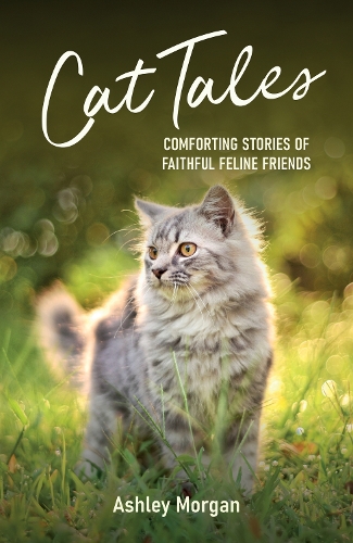 Бумажная книга «Cat Tales: Comforting Stories of Faithful Feline Friends», автор Эшли Морган - фото №1