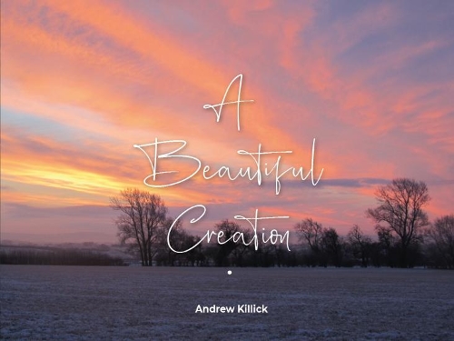 Паперова книга «A Beautiful Creation», автор Ендрю Кіллік - фото №1