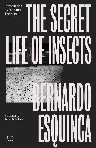 Бумажная книга «The Secret Life of Insects», автор Бернардо Эсквинца - фото №1