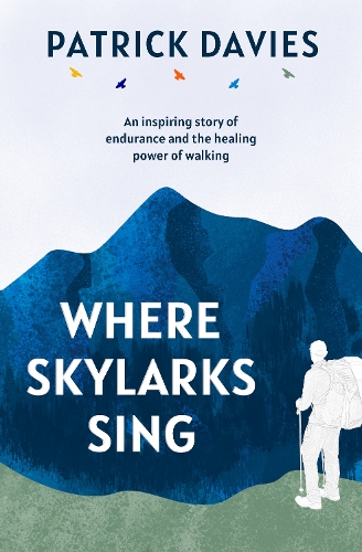 Бумажная книга «Where Skylarks Sing: An inspiring story of endurance and the healing power of walking», автор Патрик Дэвис - фото №1