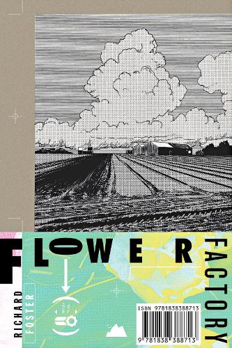 Паперова книга «Flower Factory: A Fairy Tale», автор Річард Фостер - фото №1