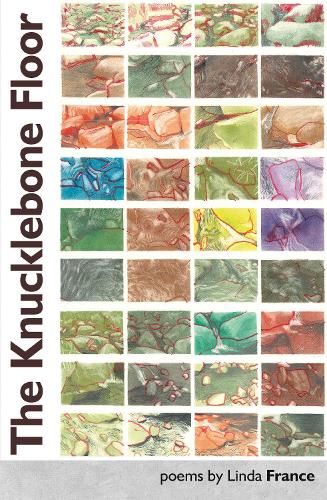 Бумажная книга «The Knucklebone Floor», автор Линда Франс - фото №1
