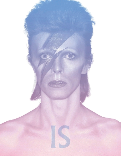 Паперова книга «David Bowie Is» - фото №1