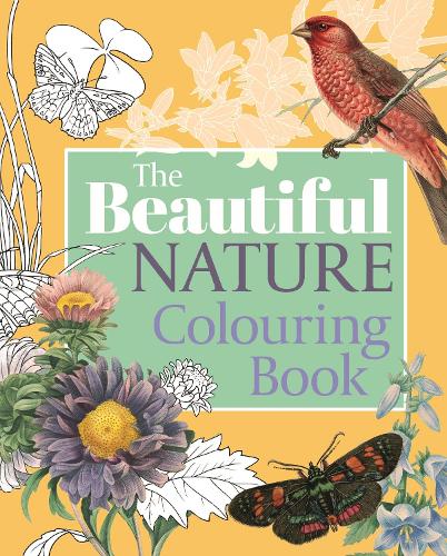 [object Object] «The Beautiful Nature Colouring Book», автор Arcturus Publishing - фото №1