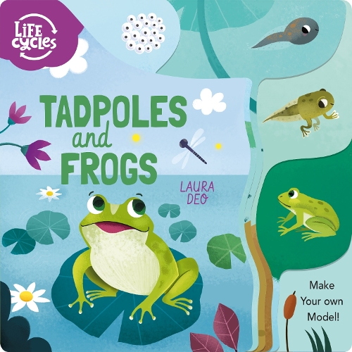 [object Object] «Tadpoles and Frogs: Make Your Own Model!» - фото №1