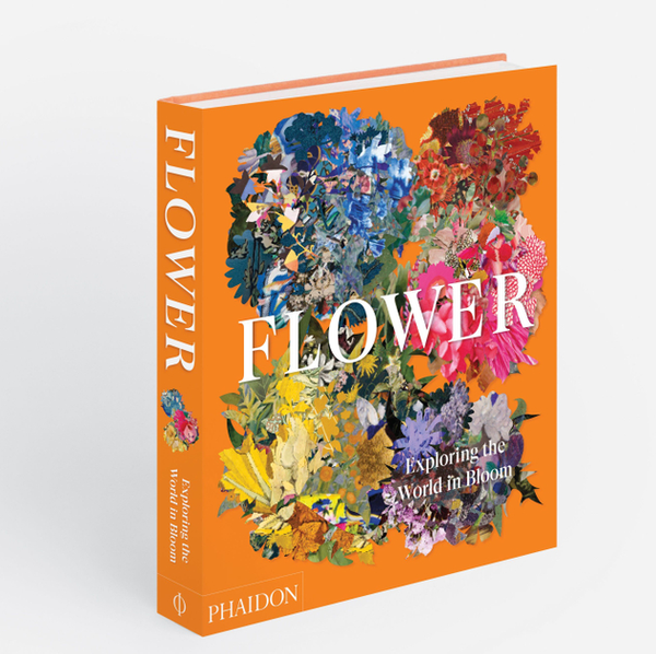 Бумажная книга «Flower: Exploring the World in Bloom» - фото №1