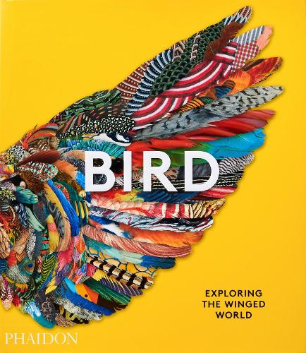 Паперова книга «Bird: Exploring the Winged World» - фото №1