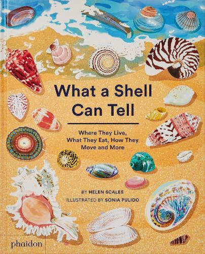 Бумажная книга «What A Shell Can Tell» - фото №1