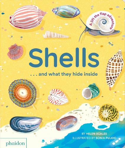 Бумажная книга «Shells... and what they hide inside: A Lift-the-Flap Adventure», автор Хелен Скейлс - фото №1