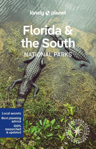 Бумажная книга «Lonely Planet Florida & the South's National Parks», автор Энтони Хэм - фото №1