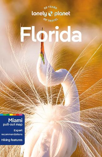 Бумажная книга «Lonely Planet Florida», авторов Адам Карлин, Эми Биззарри, Энди Уорд, Дэвид Гибб, Дженнифер Эдвардс, Реджис Сент-Луис, Терри Уорд - фото №1