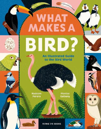 Паперова книга «What Makes a Bird?: An Illustrated Guide to the Bird World», автор Надім Перера - фото №1