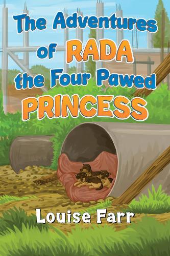 Бумажная книга «The Adventures of Rada the Four Pawed Princess», автор Луиза Фарр - фото №1