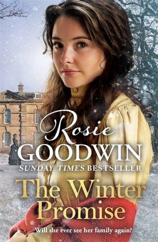 Бумажная книга «The Winter Promise», автор Рози Гудвин - фото №1