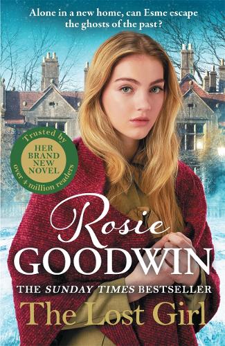 Paper book «The Lost Girl: The heartbreaking  Sunday Times bestseller from Britain's best-loved saga author», author Rosie Goodwin - фото №1