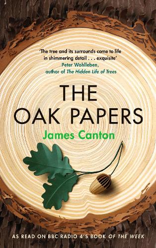 Паперова книга «The Oak Papers», автор Джеймс Кантон - фото №1
