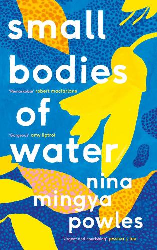 Бумажная книга «Small Bodies of Water», автор Нина Мингья Паулс - фото №1