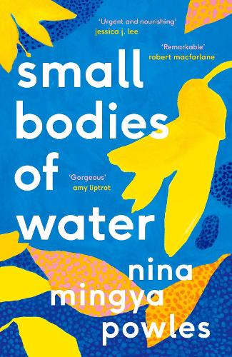 Паперова книга «Small Bodies of Water», автор Ніна Мінгія Паулс - фото №1
