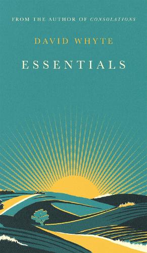 Бумажная книга «Essentials», автор Дэвид Уайт - фото №1