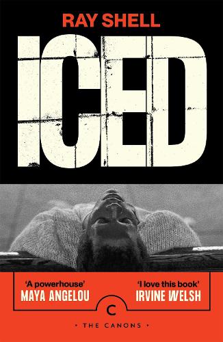 Паперова книга «Iced», автор Рей Шелл - фото №1