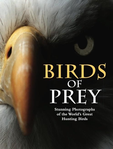 Бумажная книга «Birds of Prey: Stunning Photographs of the World's Great Hunting Birds», автор Том Джексон - фото №1