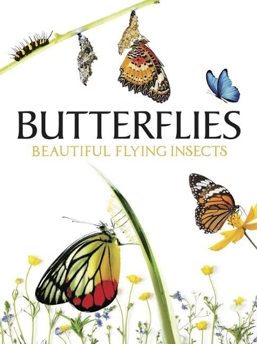 Бумажная книга «Butterflies: Beautiful Flying Insects», автор Джулианна Фотопулос - фото №1