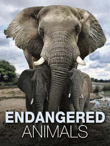 Бумажная книга «Endangered Animals», автор Том Джексон - фото №1