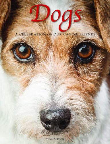 Бумажная книга «Dogs: A Celebration of our Canine Friends», автор Том Джексон - фото №1
