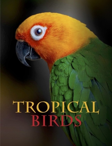 Бумажная книга «Tropical Birds», автор Том Джексон - фото №1