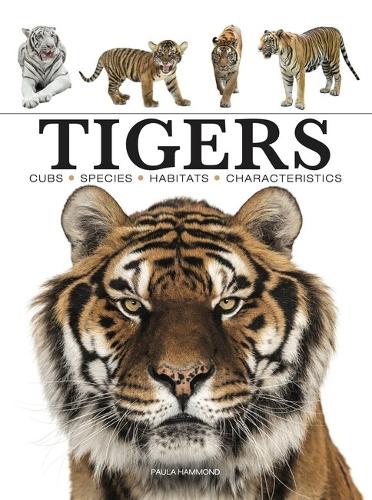 Бумажная книга «Tigers», автор Пола Хаммонд - фото №1