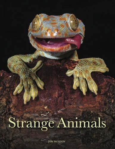 Бумажная книга «Strange Animals», автор Том Джексон - фото №1