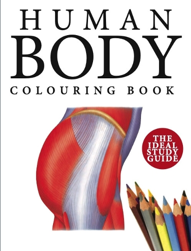Паперова книга «Human Body Colouring Book: Human Anatomy in 215 Illustrations», автор Петер Абрахамс - фото №1