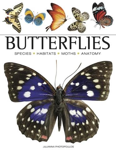 Бумажная книга «Butterflies», автор Джулианна Фотопулос - фото №1
