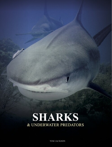 Бумажная книга «Sharks and Underwater Predators», автор Том Джексон - фото №1